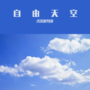 天空飞翔鸟
