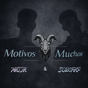 Motivos muchos
