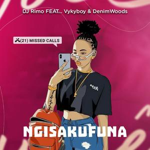 Ngisakufuna (feat. Vykyboy) (Denimwoods Remix)