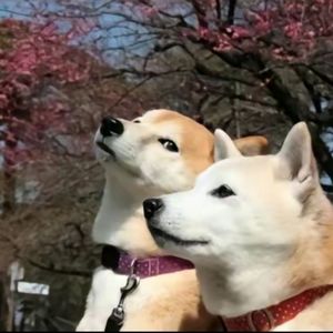 小时候和长大后