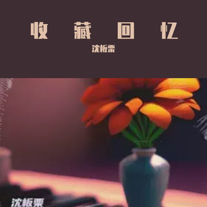 收藏回忆