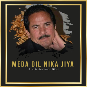 Meda Dil Nika Jiya