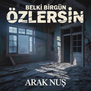 Belki birgün özlersin