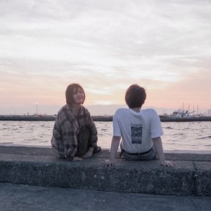 たぬきみたいな猫