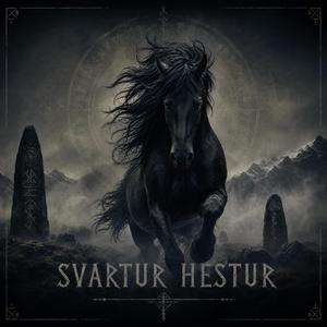 Svartur hestur