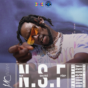 N.S.F(Na Saltée Féep) (Radio Edit)
