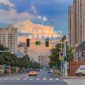 我不是你的宋冬野