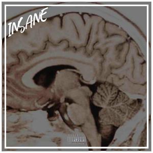 INSANE (feat. S.o.M)