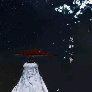 夜的心事（翻自 曲肖冰）