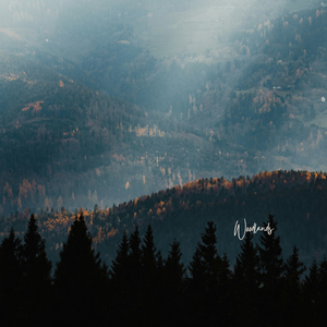 Woodlands