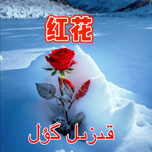 kizelgul（红花儿）