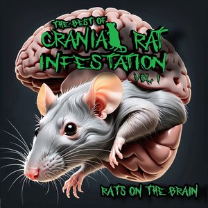 Drop Off (Rats on the Brain Version)
