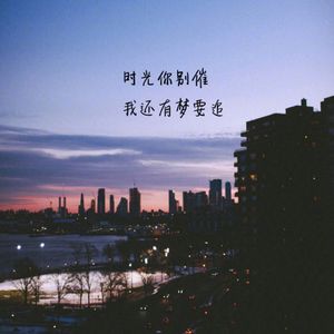 我的歌声里（DJ至尊旋律）