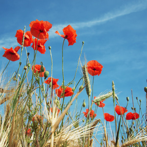 괜찮아 잘 될거야