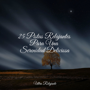 Caminando En Un Lugar Calmado