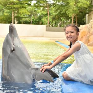 我也有个中国梦（徐城悦）