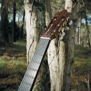 Guaguanco, Conga, Columbia