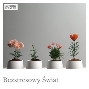 Tajemnicze Echo W Zapomnianym Grocie