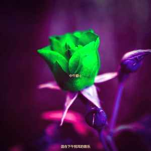 适合下午忧郁的音乐