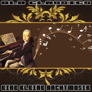 Concerto for Violin and Orchestra No. 4 in D Major, K 218: II. Andante Cantabile