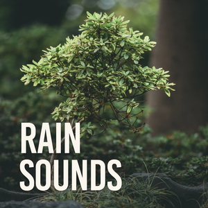 Rain Harmonics