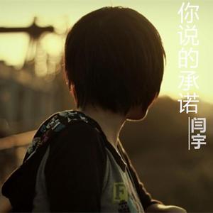 你说的承诺 - 闫宇