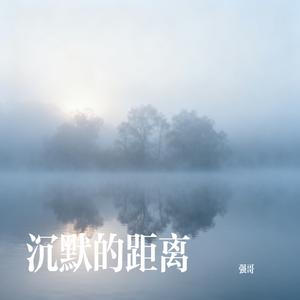 沉默的距离