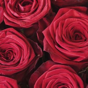 朋友出去走走（伴奏）