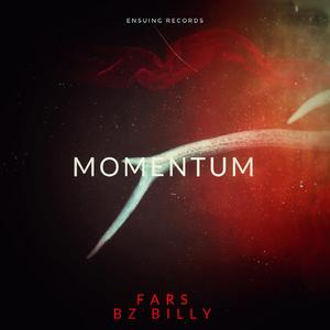Momentum