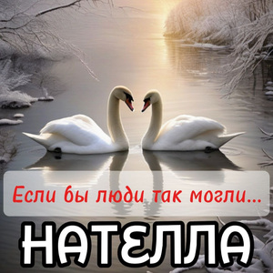 Если бы люди так могли...