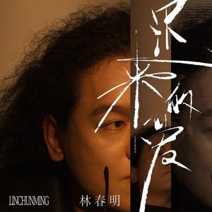 迟来的爱 (DJ九零版)