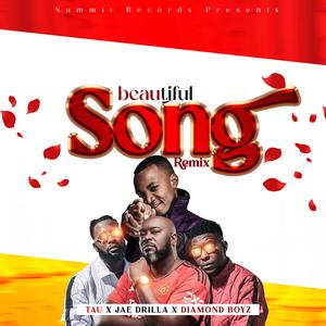 Beautiful Song remix