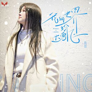 我的世界大雪纷飞