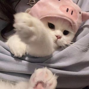 文成