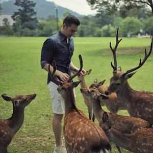 当我孤独的时候还可以抱着你