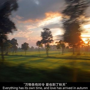 生活真谛（纯音乐0.8x）