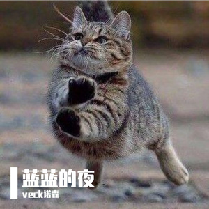 蓝蓝的夜（live）（翻自 群星）