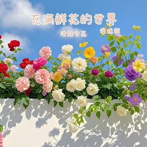 充满鲜花的世界 (1.1X)