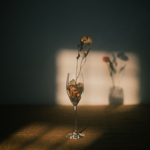 ブランニュース