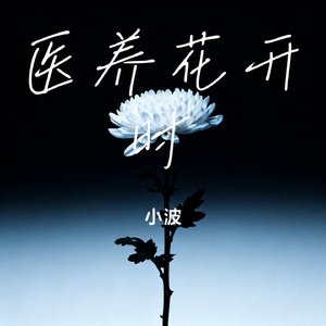 医养花开时