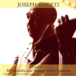 Violin Concerto in E Minor, Op. 64, MWV O14:I. Allegro molto appassionato -
