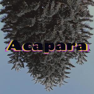 Acapara