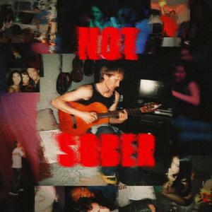 SUNDRIED (feat. indigo sol)