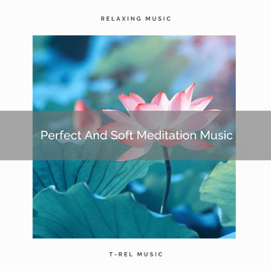 Perfect And Soft Meditation Songs