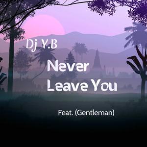 Never Leave You (feat. Gentleman)