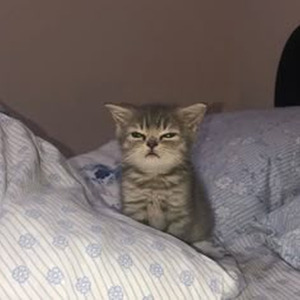 Blood In The Cut (sped up)