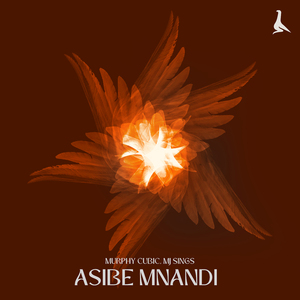 Asibe Mnandi