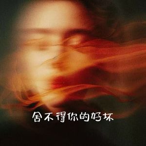 舍不得你的好你的坏