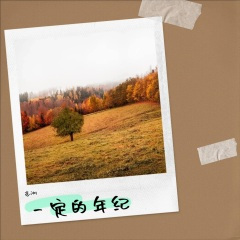 一定的年纪 (DJ阿远版)(Remix)