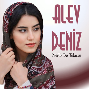 Nedir Bu Telaşın